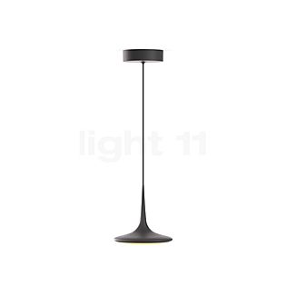 Grau Falling Leaf Suspension LED noir - 600 cm