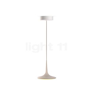 Grau Falling Leaf Suspension LED sable - 600 cm