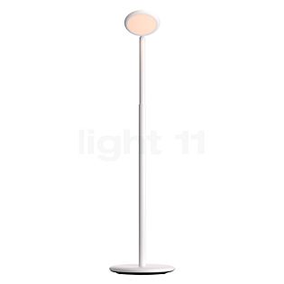 Grau Parrot Batteria lampada da terra LED bianco