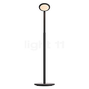 Grau Parrot Batteria lampada da terra LED nero