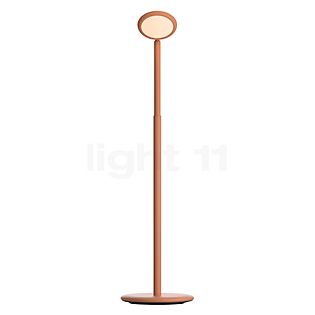 Grau Parrot Batterie lampadaire LED orange