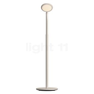 Grau Parrot Batterij Vloerlamp LED zand