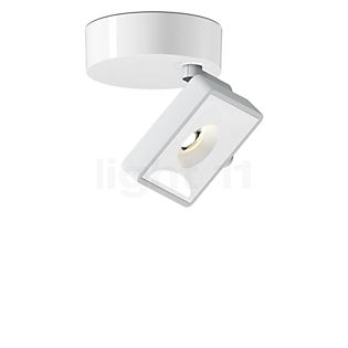 Grau Studio Surface-Mounted Spotlight LED satin/white - 2,700 K