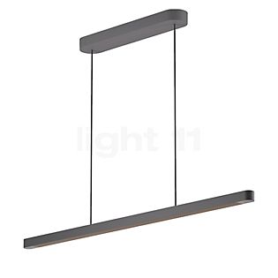 Grau Team Pendant Light LED black - height-adjustable