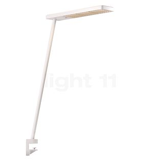 Grau Xt-a Lampe de table LED blanc