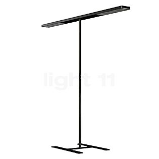 Grau Xt-a Plus Floor Lamp LED 2 lamps black/black