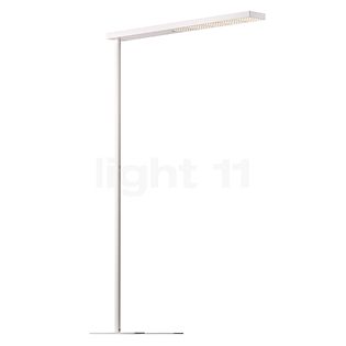 Grau Xt-a Plus Stehleuchte LED weiß/weiß - 125 cm