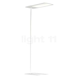 Grau Xt-s Lampada da terra LED bianco