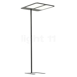 Grau Xt-s Side Lampada da terra LED 2 fuochi grigio-marrone