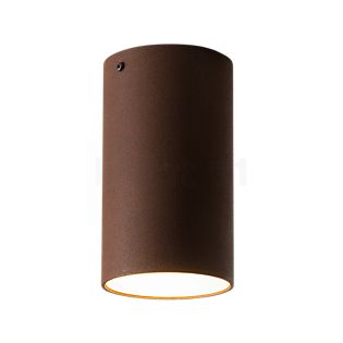 Graypants Roest Ceiling Light rust