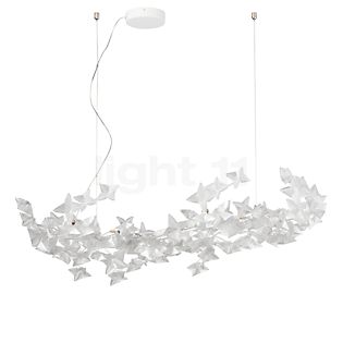 Hanami Pendel large, kabel transparent