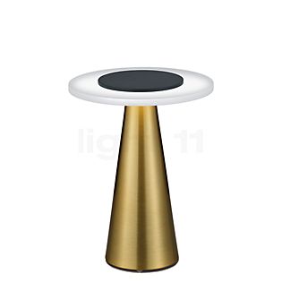 Helestra Bax Table Lamp LED brass/black