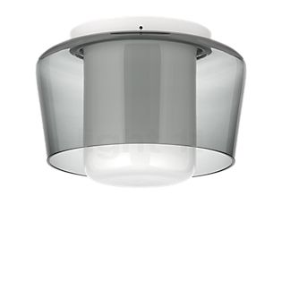 Helestra Canio Lampada da soffitto grigio