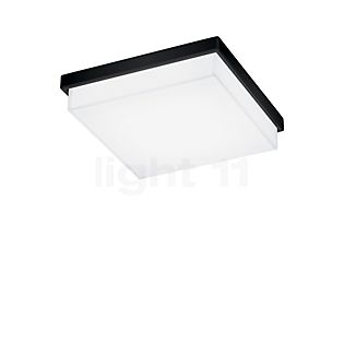 Helestra Cosi Deckenleuchte LED schwarz matt - 21 cm