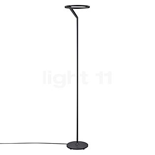 Helestra Elara Floor Lamp LED black