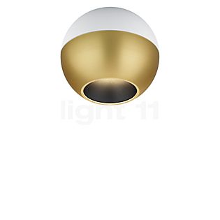 Helestra Eto Spot LED bianco/dorato