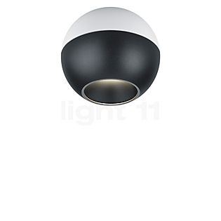 Helestra Eto Spot LED bianco/nero