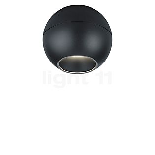 Helestra Eto Spot LED negro