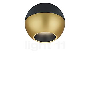 Helestra Eto Spot LED schwarz/gold