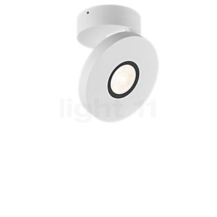 Helestra Goto Spot LED bianco , Vendita di giacenze, Merce nuova, Imballaggio originale