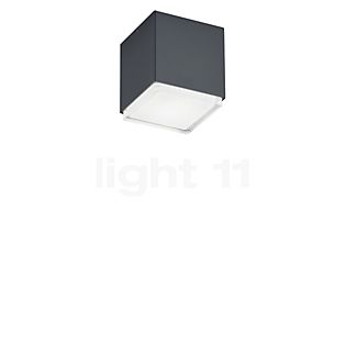 Helestra Isy Ceiling Light LED graphite