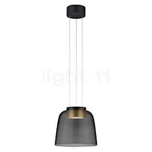 Helestra Oda Hanglamp LED zwart/goud - met glas