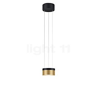 Helestra Oda Hanglamp LED zwart/goud - zonder glas