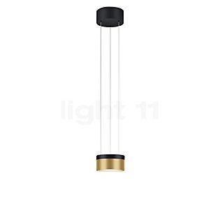 Helestra Oda Pendant Light LED black/gold - without glass