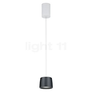 Helestra Ove Hanglamp LED wit/zwart