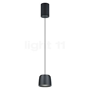 Helestra Ove Suspension LED noir