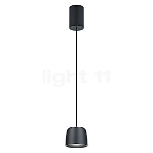 Helestra Ove Suspension LED noir , Vente d'entrepôt, neuf, emballage d'origine