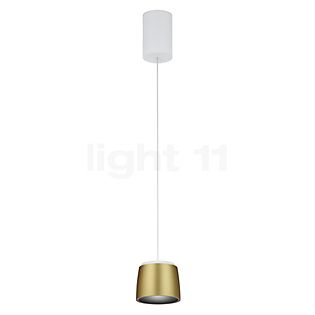 Helestra Ove, lámpara de suspensión LED blanco/dorado