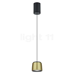 Helestra Ove, lámpara de suspensión LED negro/dorado