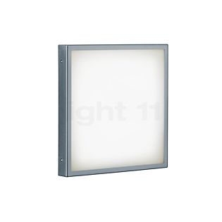 Helestra Scala Applique LED acier inoxydable - 32 x 32 cm