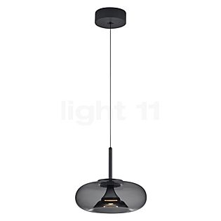 Helestra Sica, lámpara de suspensión LED negro - 32 cm