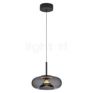 Helestra Sica, lámpara de suspensión LED negro/dorado - 32 cm