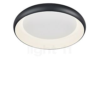 Helestra Tyra Ceiling-/Wall Light LED black/white