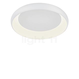 Helestra Tyra Ceiling-/Wall Light LED white/white