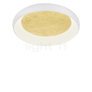 Helestra Tyra Plafond-/Wandlamp LED wit/goud
