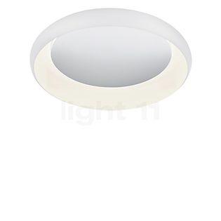 Helestra Tyra Plafond-/Wandlamp LED wit/verspiegeld