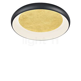 Helestra Tyra Plafond-/Wandlamp LED zwart/goud