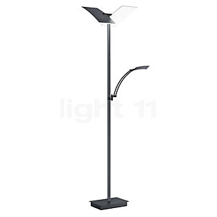 Hell Andy Gulvlampe LED 2-flammer antrazit mat