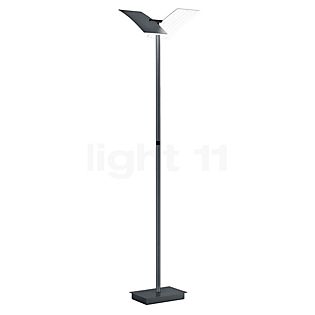 Hell Andy Lampadaire LED 1 foyer anthracite mat