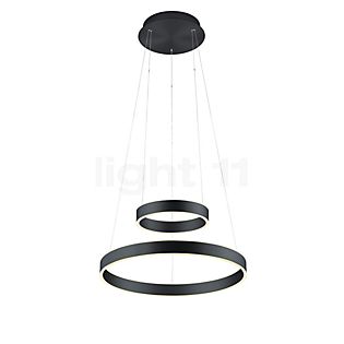 Hell Delta Hanglamp LED rond - 2-lichts zwart