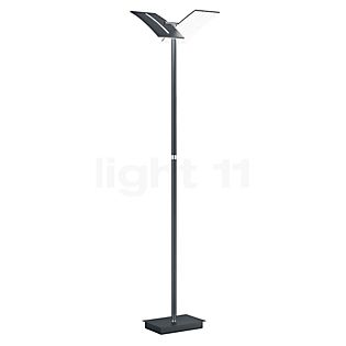 Hell Dual Floor Lamp LED anthracite
