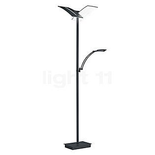 Hell Dual Floor Lamp LED black - with reading light