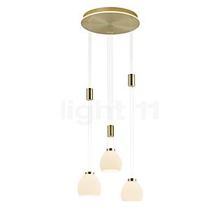 Hell Sam Cluster Pendant Light LED 3 lamps brass