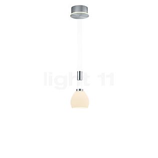 Hell Sam Hanglamp LED nikkel mat/chroom