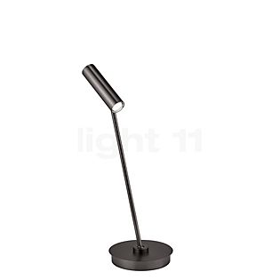 Hell Tom Bordlampe LED bronze