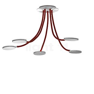 Holtkötter Flex D5 Ceiling Light LED aluminium/red